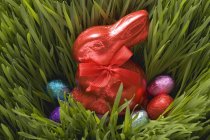 Bonbons de Pâques dans l'herbe — Photo de stock