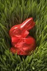 Conejo de Pascua de chocolate rojo - foto de stock