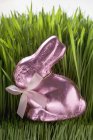 Conejo de Pascua de chocolate rosa - foto de stock