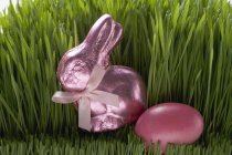 Рожевий Пасхальний заєць — стокове фото