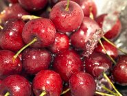 Cerezas rojas frescas maduras - foto de stock