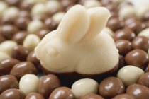 Marzipan Easter Bunny — Stock Photo