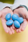 Mãos segurando ovos azuis — Fotografia de Stock