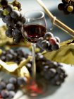 Copa de vino tinto con uvas - foto de stock