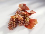 Uvas rojas maduras con hojas - foto de stock