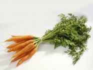Manojo de zanahorias con tallos - foto de stock