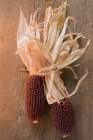 Peitos de milho maduro — Fotografia de Stock