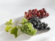 Різні види стиглі винограду — стокове фото
