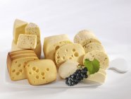 Mixed cheese board — Stock Photo