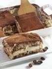 Tiramisu in the dish and on a plate — Stock Photo