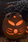 Pumpkin lantern, cobweb glove and spider — Stock Photo