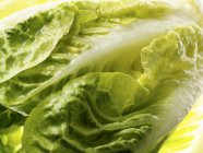 Romaine lettuce leaves — Stock Photo