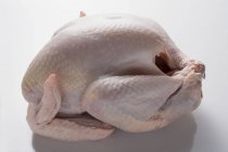Whole raw turkey — Stock Photo