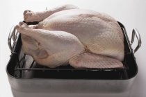 Whole raw turkey in roasting tin — Stock Photo