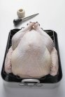 Whole raw turkey in roasting tin — Stock Photo