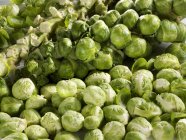 Brussels sprouts, close-up — Stock Photo