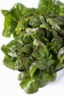 Alface-romaine verde — Fotografia de Stock