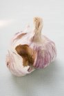 Garlic bulb with clove — Stock Photo