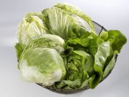 Chinese cabbage and iceberg lettuce — Stock Photo