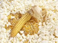 Cob of corn and kernels — Stock Photo