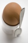 Gekochtes braunes Ei im Eierbecher — Stockfoto