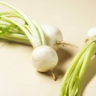 Fresh picked White turnips — Stock Photo