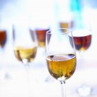 Closeup view of Sherry drinks in glasses — Stock Photo