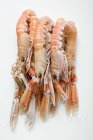 Closeup view of scampi heap on white surface — Stock Photo