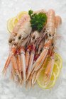 Closeup view of scampi heap on crushed ice — Stock Photo