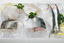 Whole and sliced fishes on platter — Stock Photo