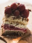 Raspberry cake with chocolate shavings — Stock Photo