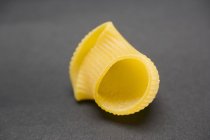 Сингл Lumaconi pasta shell — стоковое фото