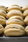 Rouleaux de pain non cuits sur plaque à pâtisserie — Photo de stock