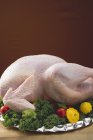 Fresh turkey garnished with vegetables — Stock Photo