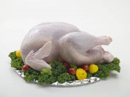 Fresh turkey garnished with vegetables and parsley — Stock Photo
