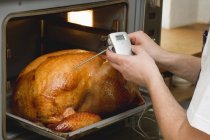 Person checking turkey in oven with meat thermometer — Stock Photo