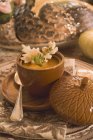 Nahaufnahme von Kürbissuppe mit Keksen und Kräutern — Stockfoto