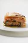 Portion of salmon lasagne — Stock Photo