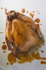 Pollo arrosto intero — Foto stock