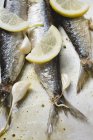 Marinated sardines with garlic and lemon — Stock Photo