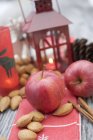 Рождественские украшения с яблоками и фонариком — стоковое фото
