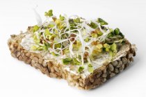 Radish sprouts on bread — Stock Photo