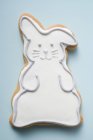 Biscotto in forma di Coniglio di Pasqua — Foto stock