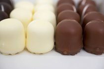 Guimauves recouvertes de chocolat — Photo de stock