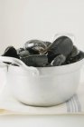 Fresh Mussels in pan — Stock Photo