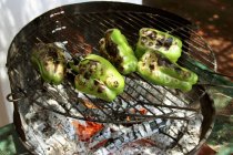 Poivrons sur barbecue — Photo de stock