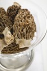 Several morels in glass bowl — Stock Photo