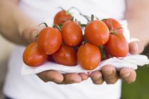 Руки, що тримають свіжі помідори — стокове фото