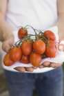 Pessoa detentora de tomates frescos — Fotografia de Stock