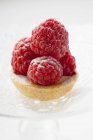 Small raspberry tart — Stock Photo
